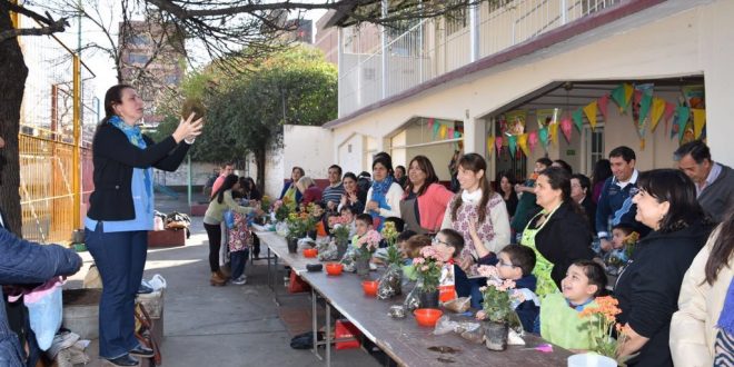 Taller de Kokedama en Nivel Inicial