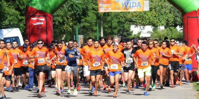 «Cuidemos la vida, sobre todo, la del que no puede defenderse», dijo el Arzobispo